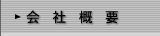 ЊTv