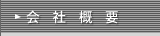 ЊTv